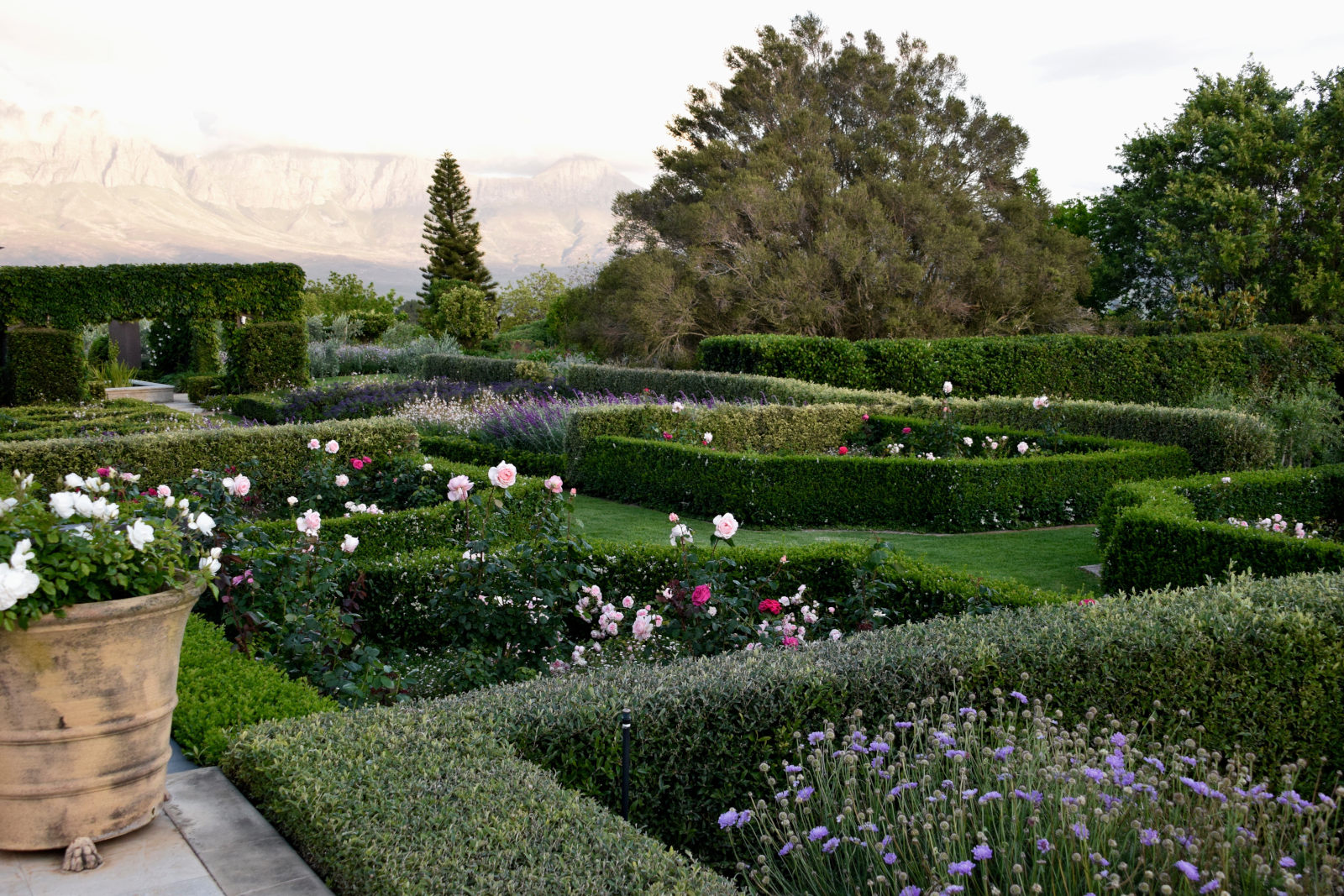 Main Rose Gardenview