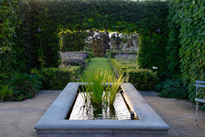 Koipond in Walled Garden