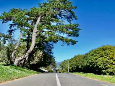 Spookhill on Parel Vallei Rd