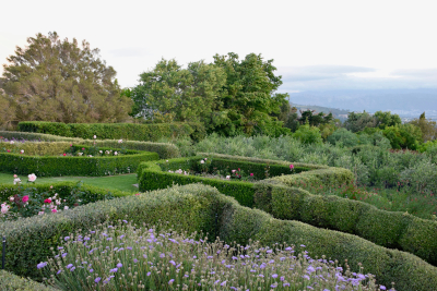 Rose garden at Spook Hill